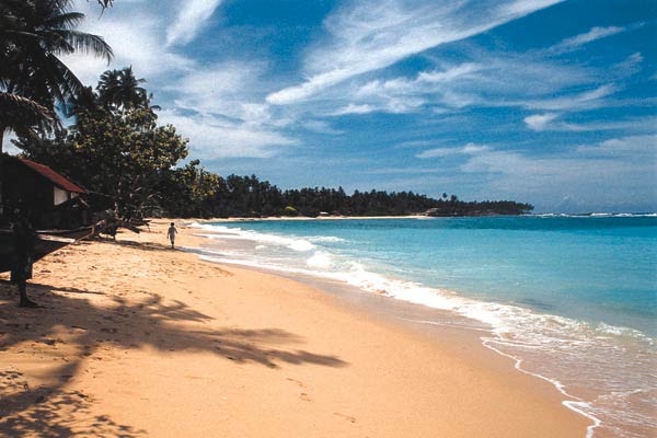 Golden coast and gentle ocean waves in southern Sri Lanka