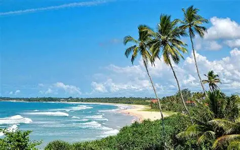 Serene coastal shoreline and luxury resort villas in Bentota