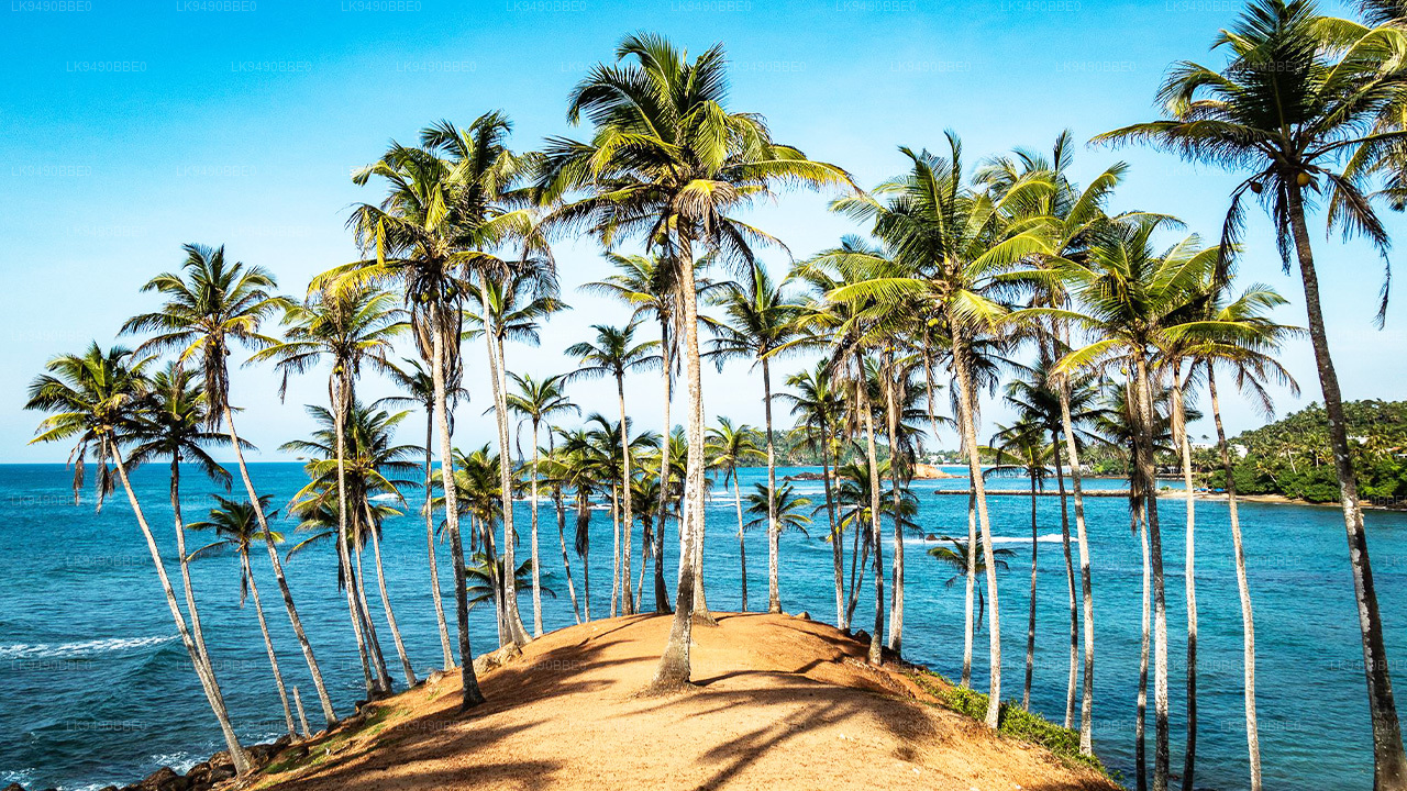 Golden beach bay in Mirissa