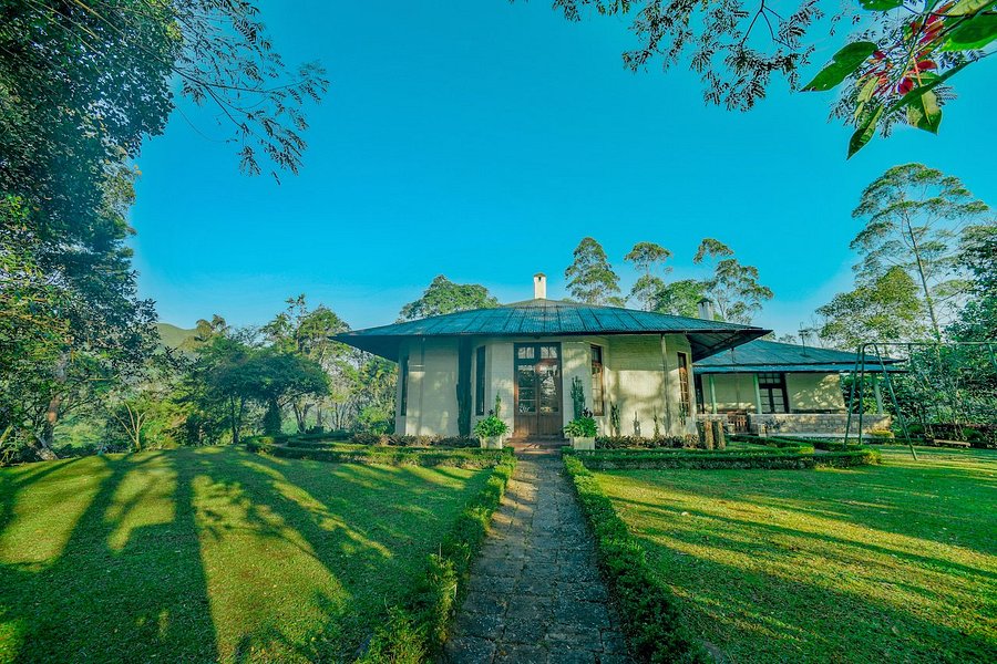 Colonial-era luxury estate bungalow surrounded by mist and gardens